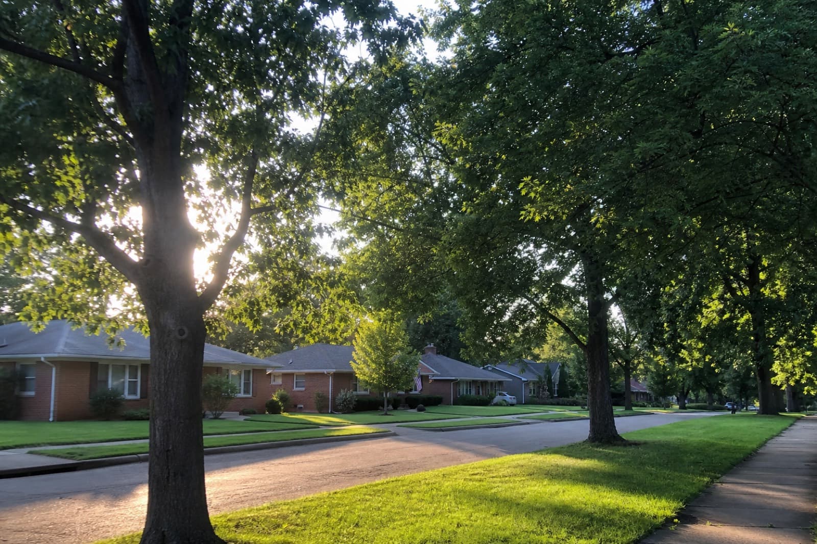 Mature shade trees along a Kansas City metro street