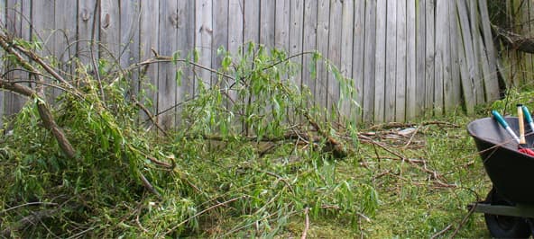 Grade A Tree project photo