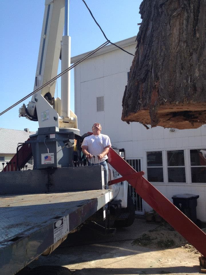 Grade A Tree project photo