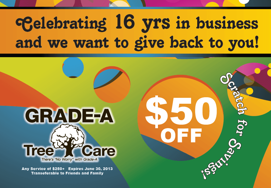 16 years in business .. THANK YOU