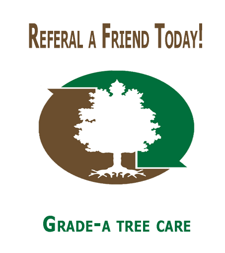 Refer a friend today!