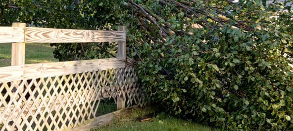 Storm’s a-Comin’