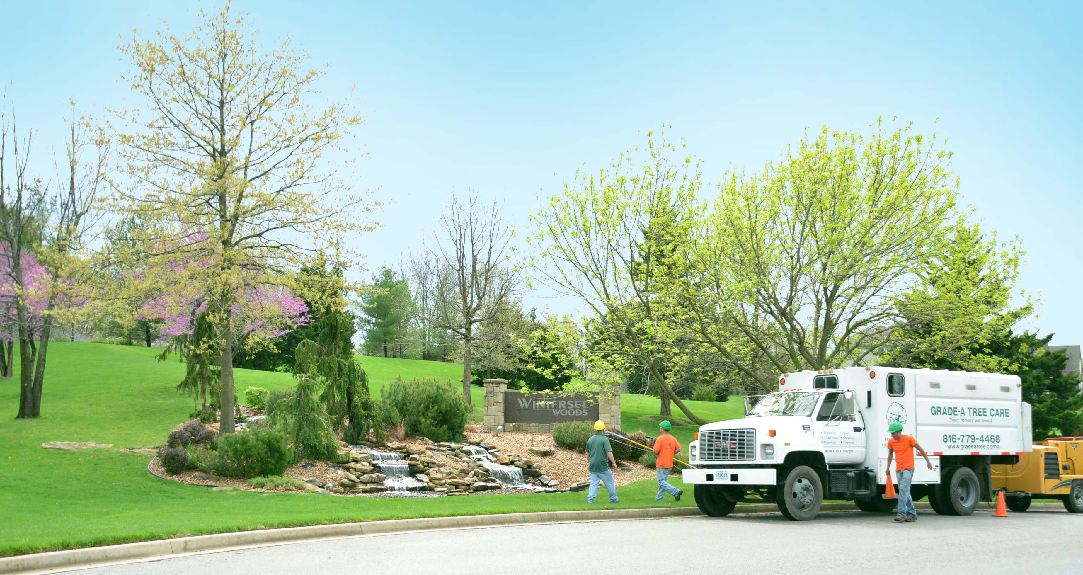 5 Smart Steps for a Winter-Ready Landscape