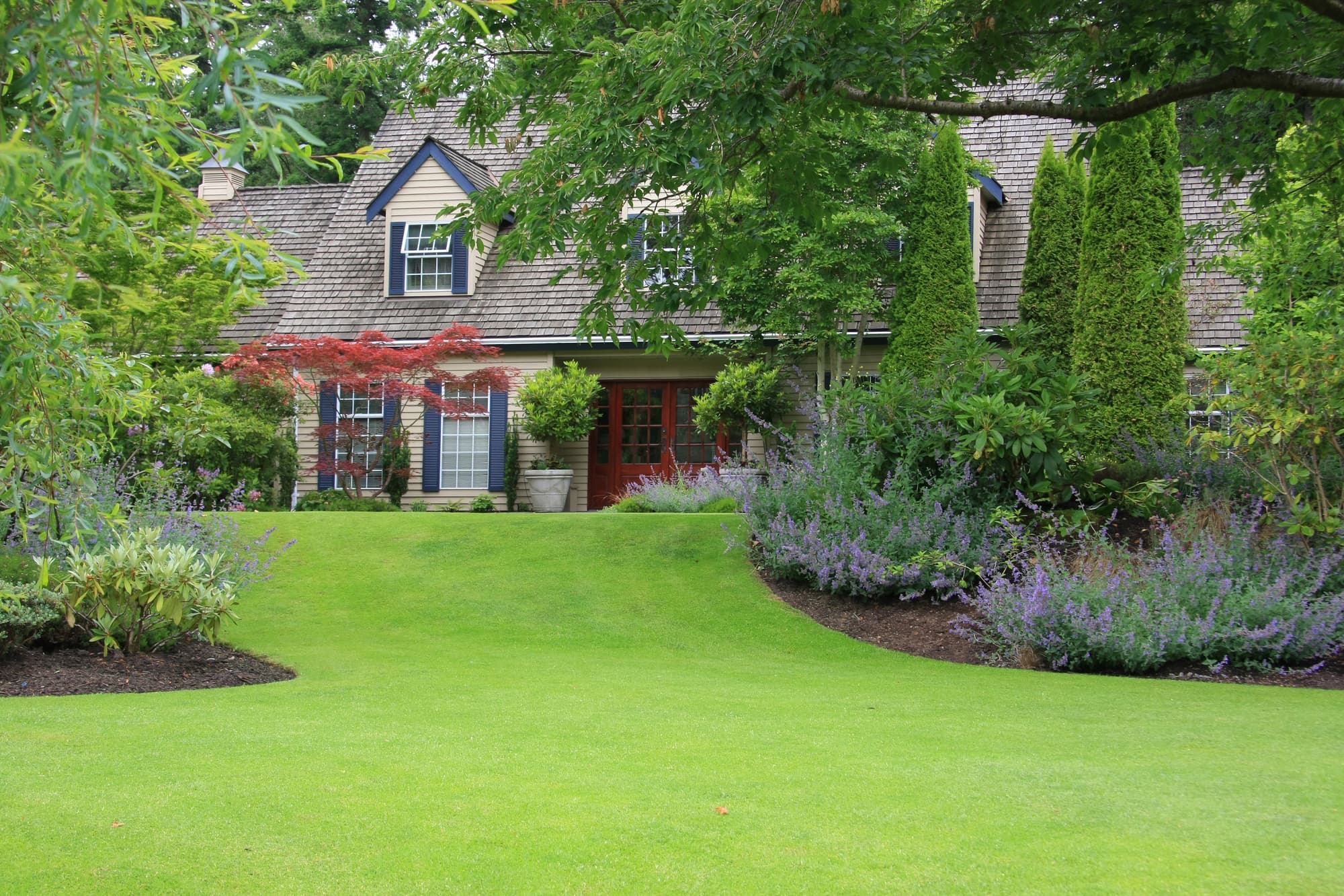 Healthy trees and manicured landscapes boost property value and curb appeal.