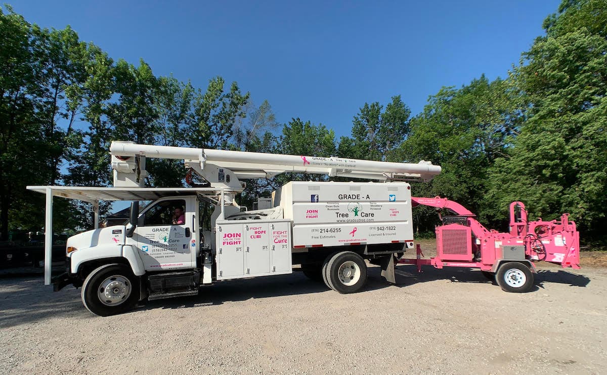 The Arborist Difference