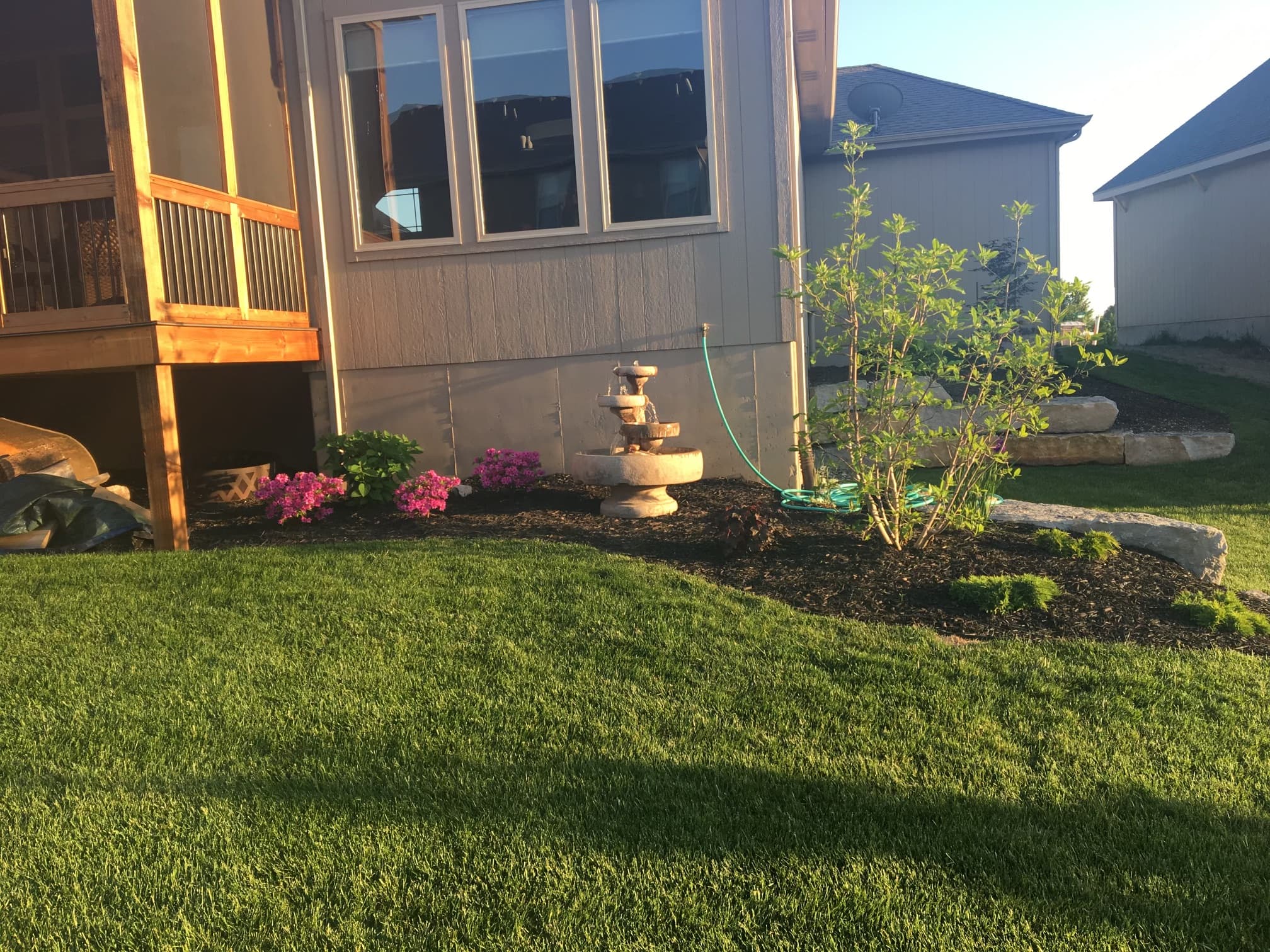 Best Mulch Practices for Trees in Kansas City Climate
