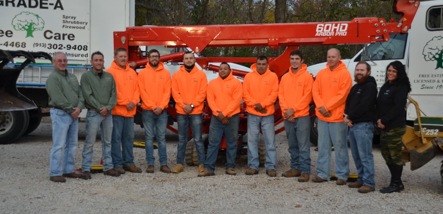 Tree services in Lansing, KS