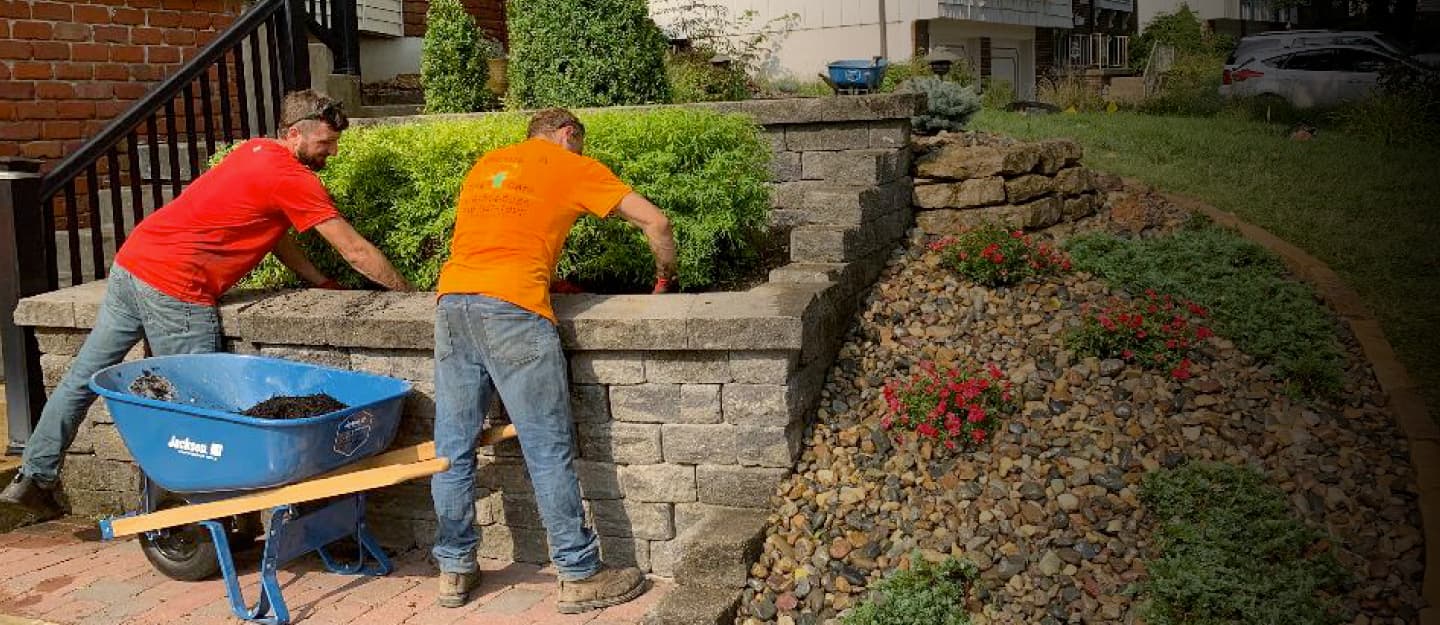 Tree services in Liberty, MO