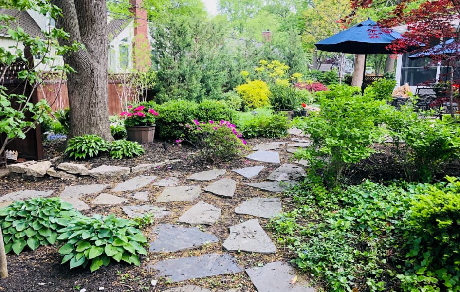 Grade A Tree project photo