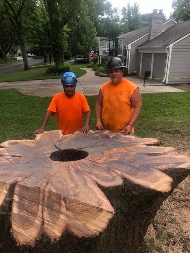 Stump Grinding & Removal project in Prairie Village