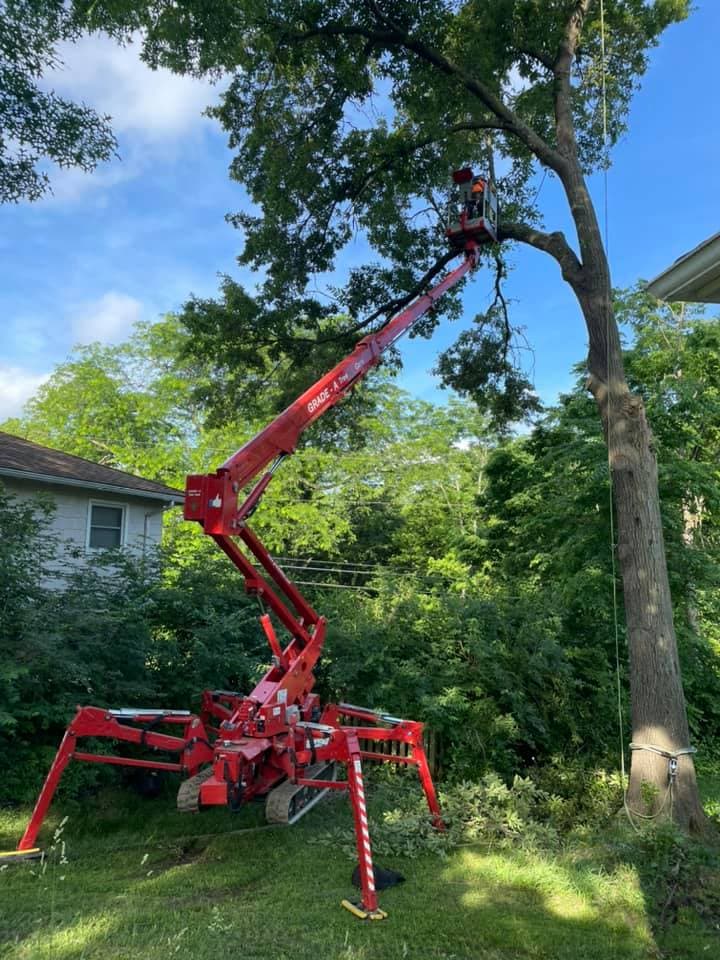Tree Trimming & Pruning project in Roeland Park