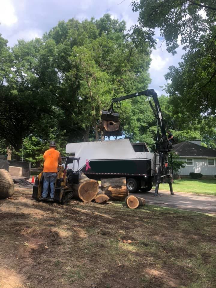 Tree Removal project in Lee's Summit