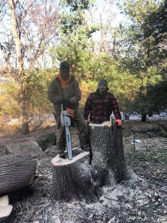 Stump Grinding & Removal project in Prairie Village