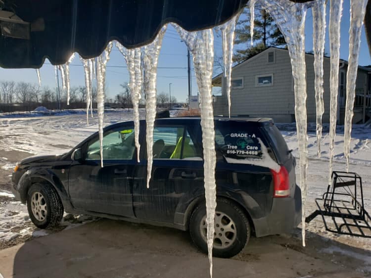 How to winterize your yard