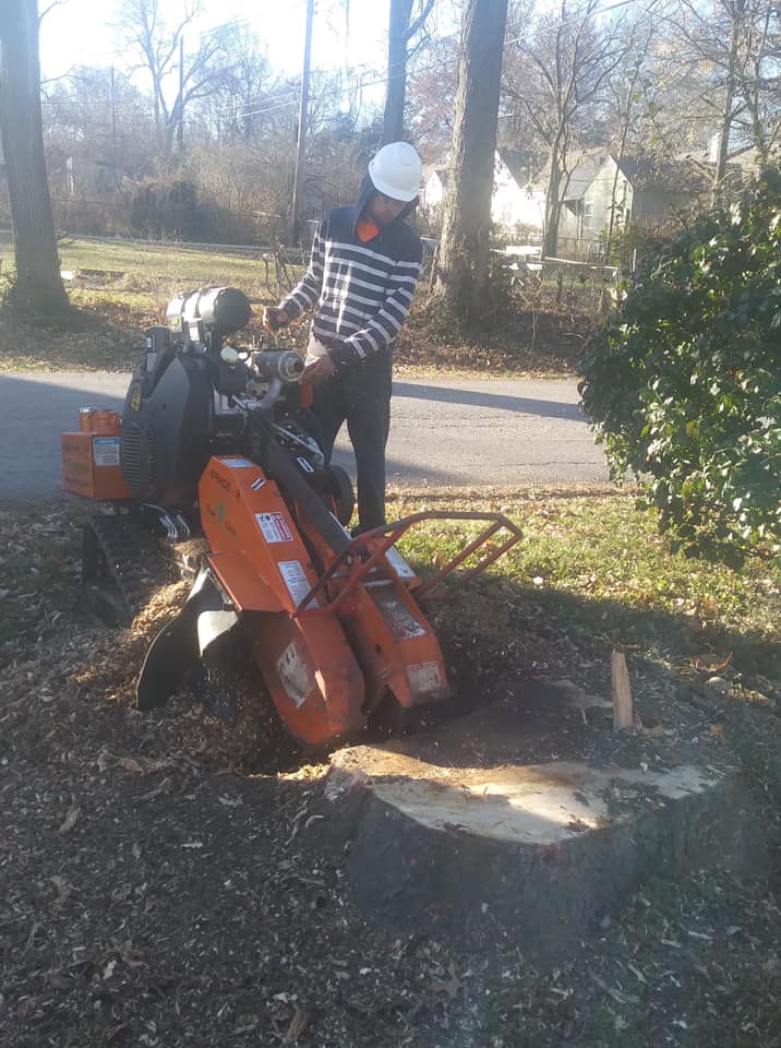 Stump Grinding & Removal project in Prairie Village