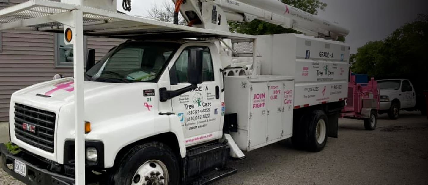 10 Questions to Ask When Hiring a Tree Care Service