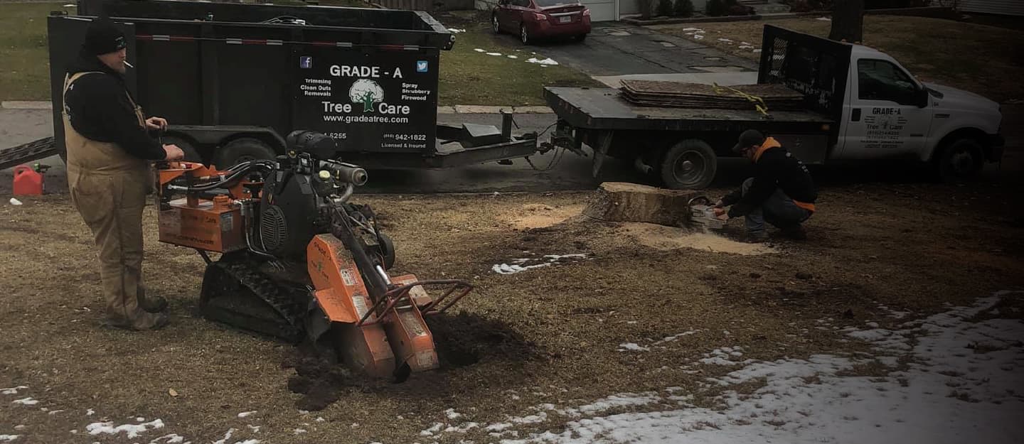 Stump Grinding & Removal in Prairie Village, KS