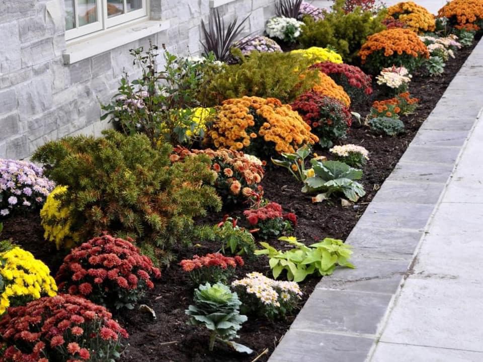 Fall lawn care guide
