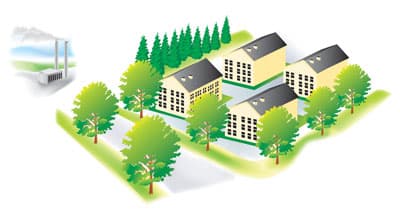 Benefits of Trees