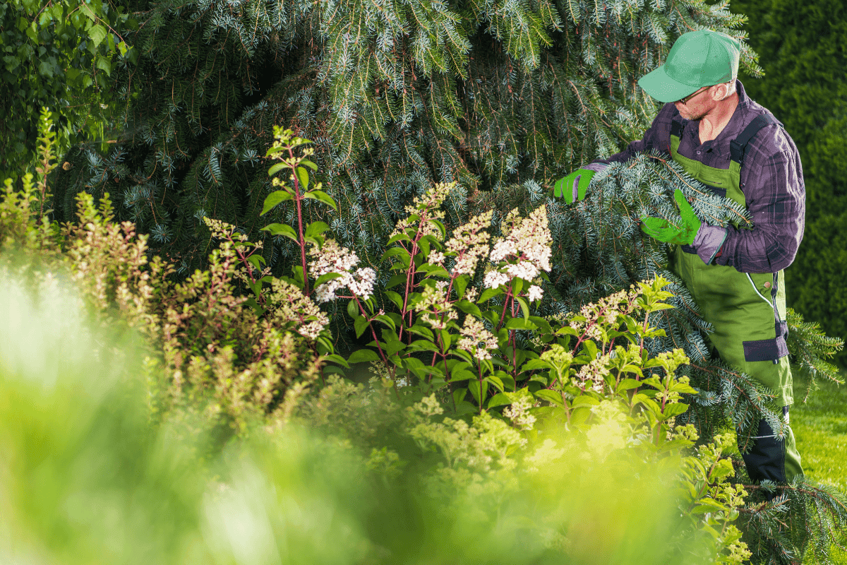 Why Now is the Best Time to Join the Plant Health Care Program