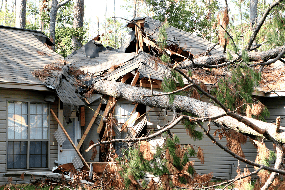 Reporting Tree Damage from Storms to Insurance: A Kansas City Homeowner’s Guide