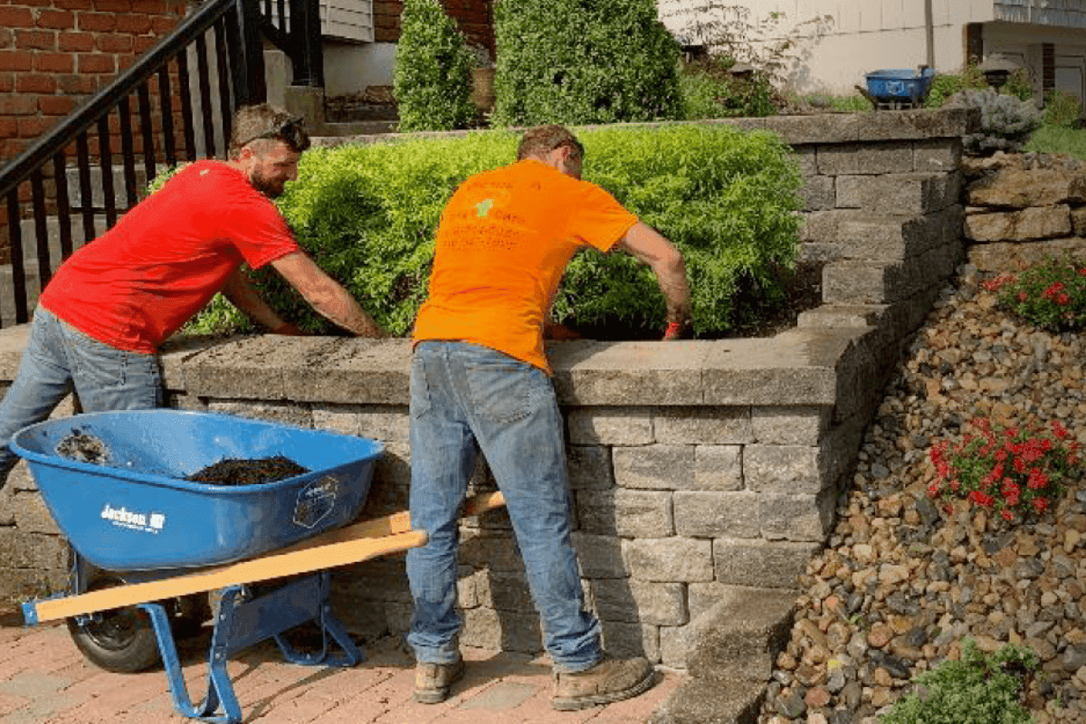 Why Fall Is the Perfect Time to Invest in Our Plant Health Care Program