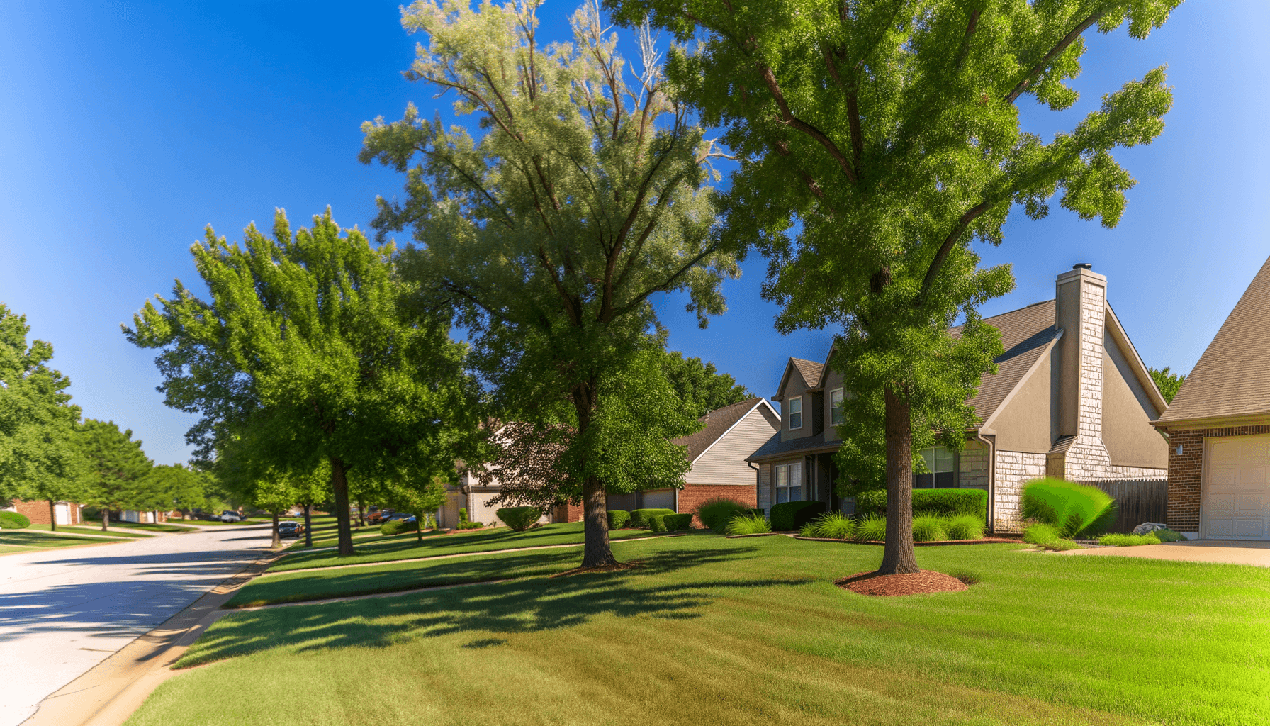Adapting Trees to Kansas City's Climate