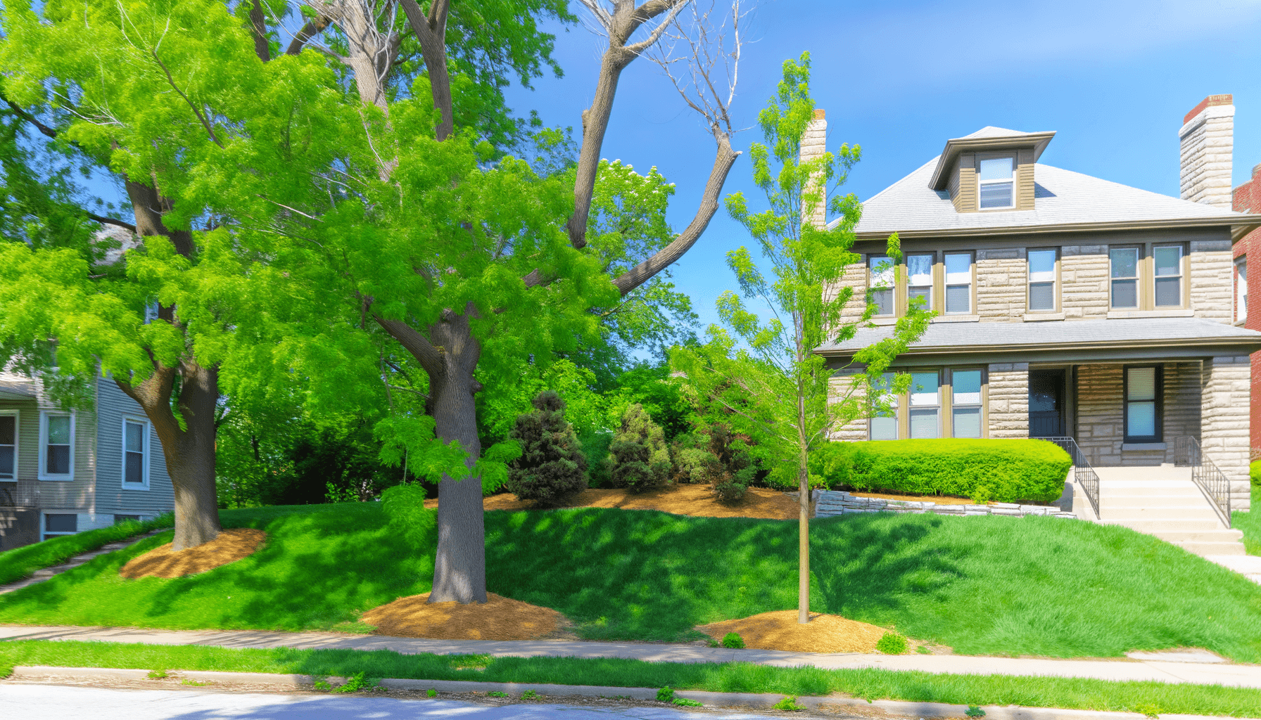 Overcoming Tree Planting Challenges in KC