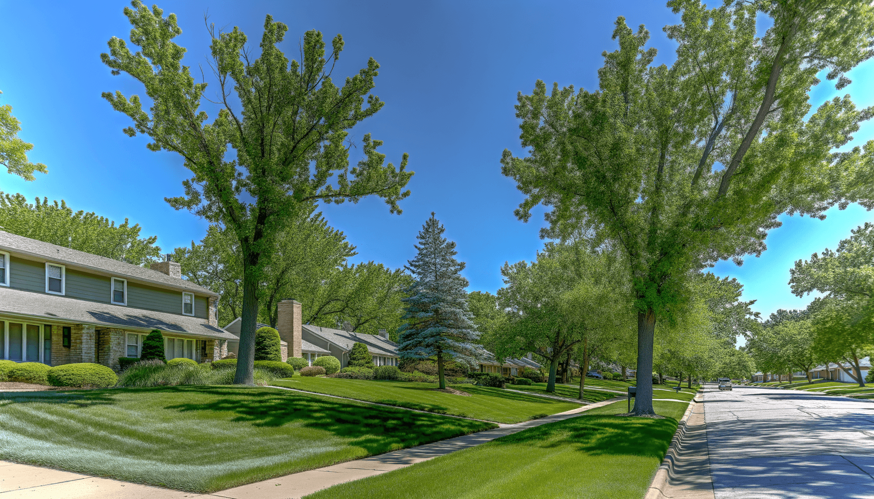 Urban Development Impact on KC Trees