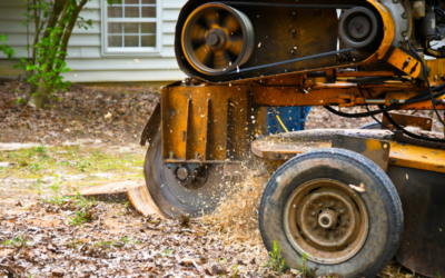 The Undeniable Benefits of Stump Grinding for Your Landscape